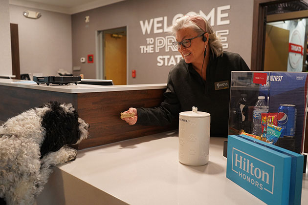 Front Desk Dog Treats